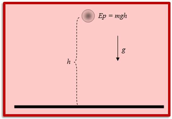 section-media