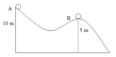 section-media