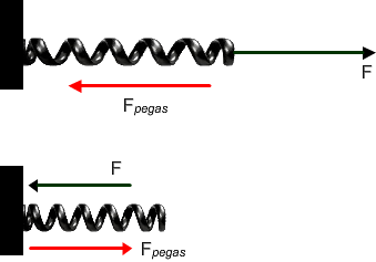 section-media