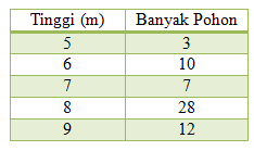 section-media