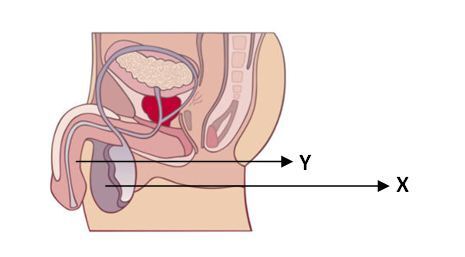 section-media