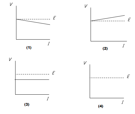 section-media