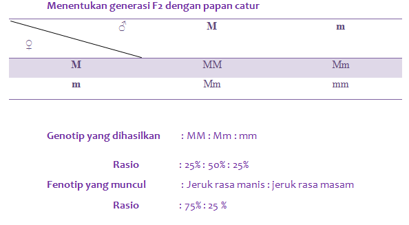 section-media