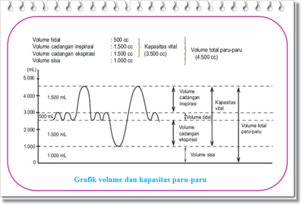 Energi Pernapasan dan Kapasitas ParuParu Kosongin