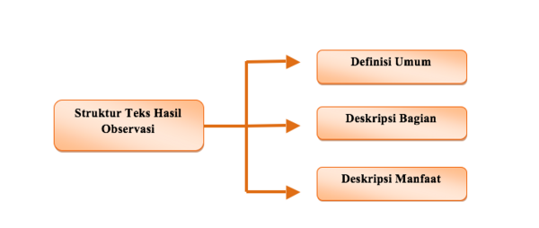 Ciri-Ciri Bahasa Teks dan Struktur Teks Hasil Observasi - Kosongin.com